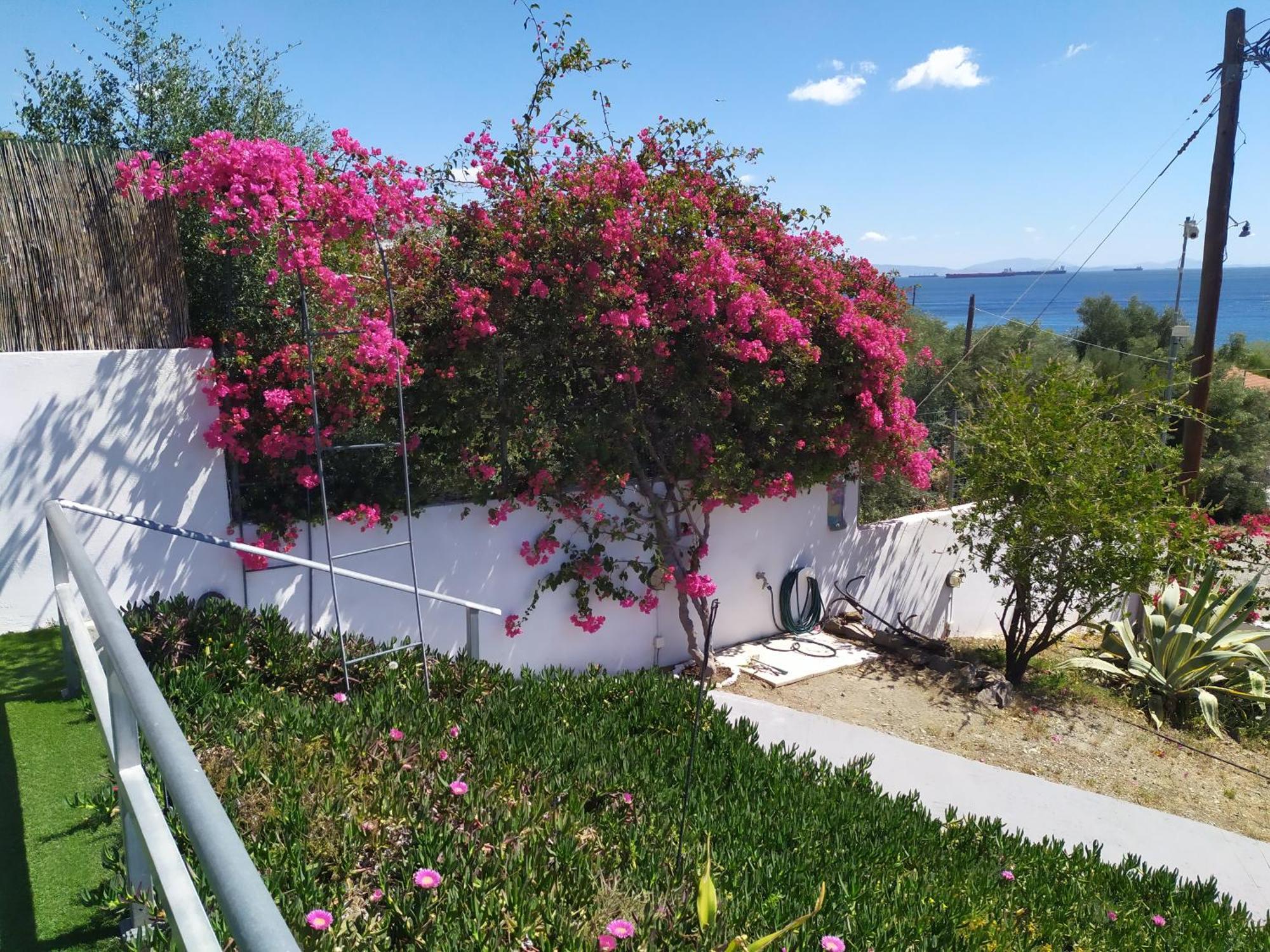 Thalassa Panagia  Bagian luar foto
