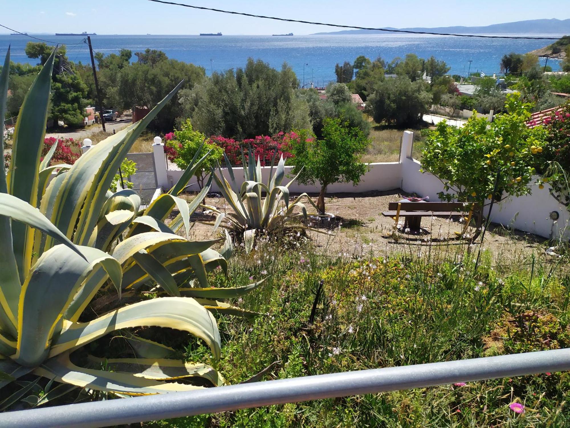 Thalassa Panagia  Bagian luar foto